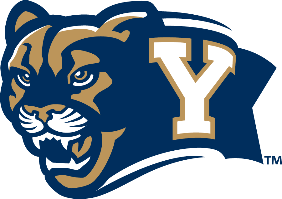 Brigham Young Cougars 2010-2014 Secondary Logo iron on transfers for T-shirts